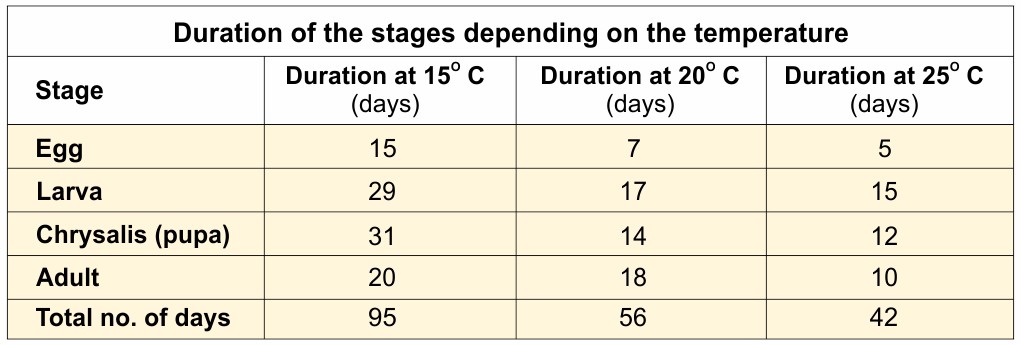 Duration of stages as a function of temperature